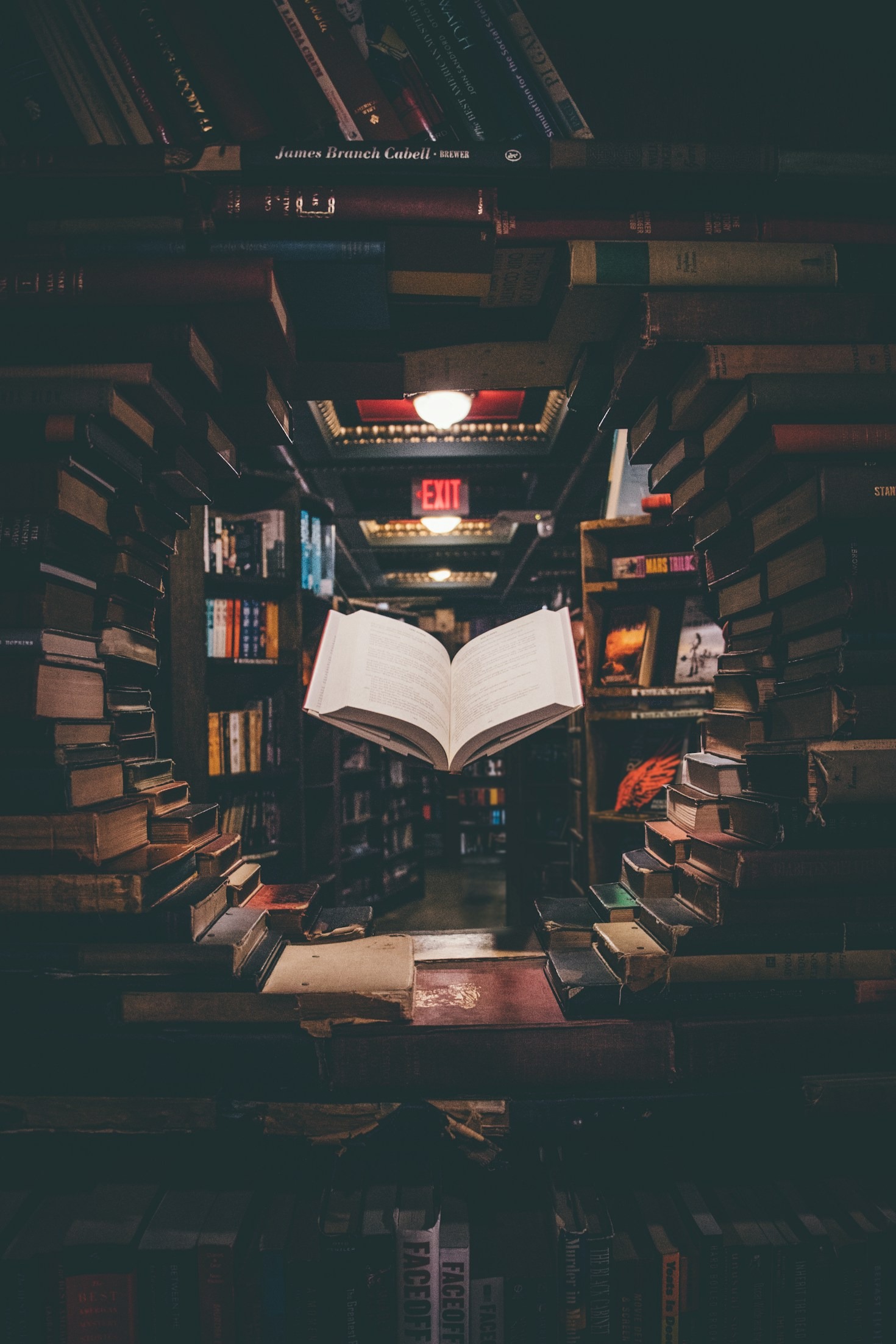 Tendências Educacionais: O Que Esperar em 2024